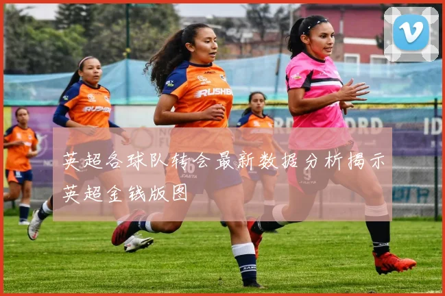 英超各球队转会最新数据分析揭示英超金钱版图