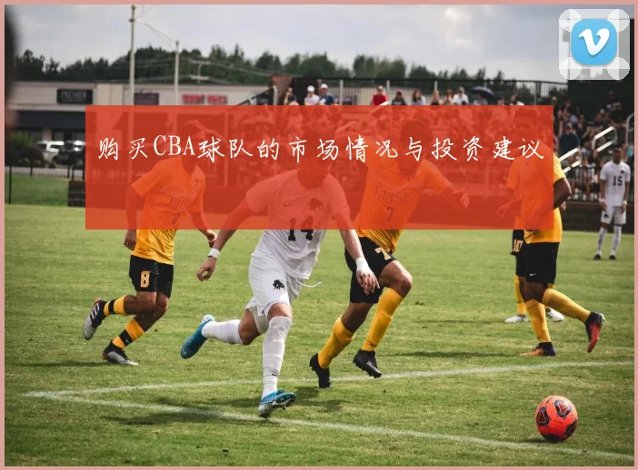 购买CBA球队的市场情况与投资建议