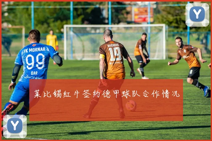 莱比锡红牛签约德甲球队合作情况