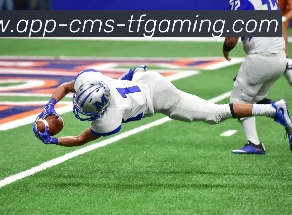 App Interface Preview